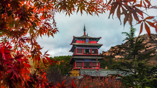 4000人大型旅游团队共赴石岛秋日之约