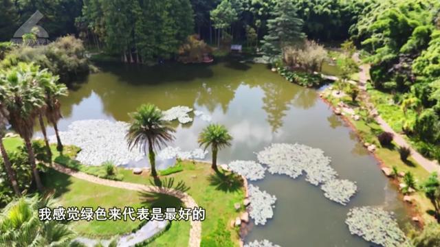 “Color Walk”火了！在昆明，用颜色解锁一座城