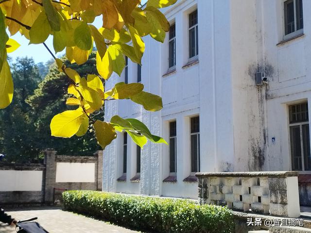 以我4次经历，带你打卡北京香山，北京的朋友请补充