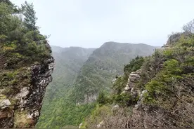 有的博士毕业就留校，有的博士毕业去大专都费劲。图片