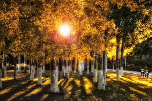 不藏了，除了草原，内蒙5个秋色仙境，最后一个颠覆你赏秋眼光！