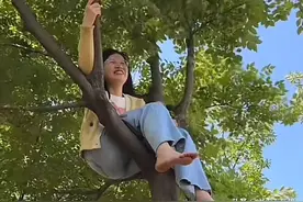 女子吵架后坐树上后续：小姑子与亲妹妹道真相 网友弄错了图片