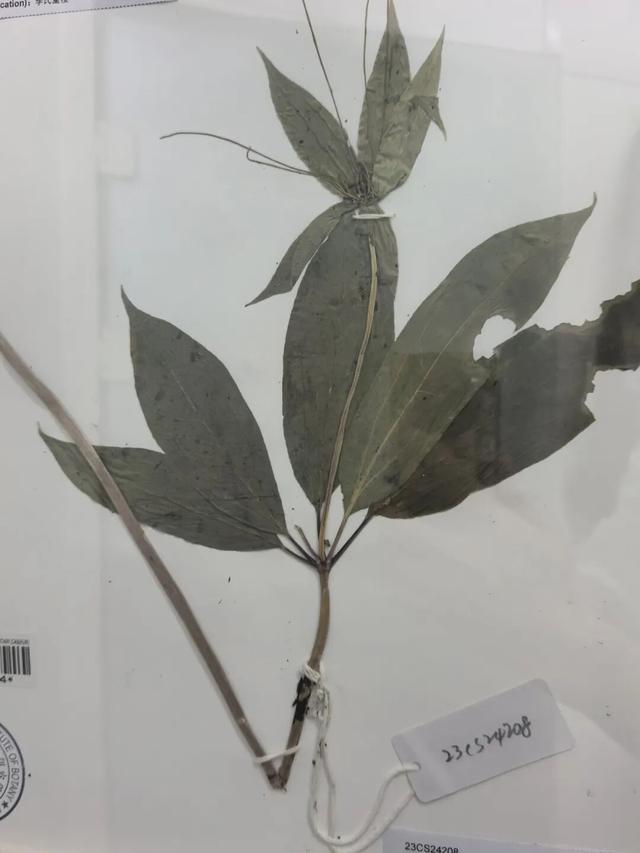 电影照进现实？中国给未来存上备份，打造野生生物的“诺亚方舟”