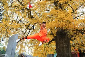 【报答】塔沟武校：深耕“天地之中” 叫响“功夫郑州”图片