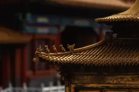 蹲在屋檐上的不一定是夜猫子，也有可能是它们！图片