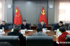 随州高新区召开2024年重大项目谋划工作推进会图片