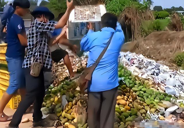 泰国大量水果腐烂，因为摊上的一句中文，中国游客：自己留着吧