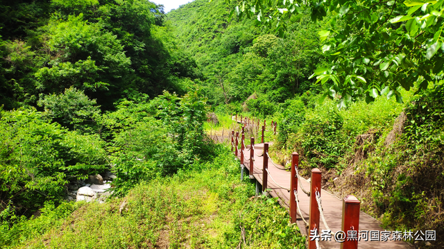 五一宝藏旅行地！2h直达秦岭天然森林氧吧