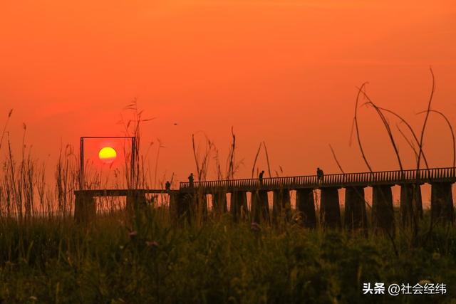 每日一景|石臼湖溧水张许村栈桥赏 “橘子海” 夕阳，水天交融
