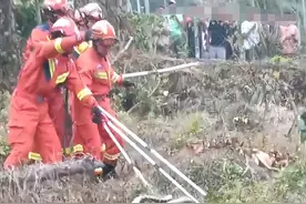 菲律宾男子被巨蟒缠身，用刀砍都治不了的蟒蛇，最后用一招解决图片
