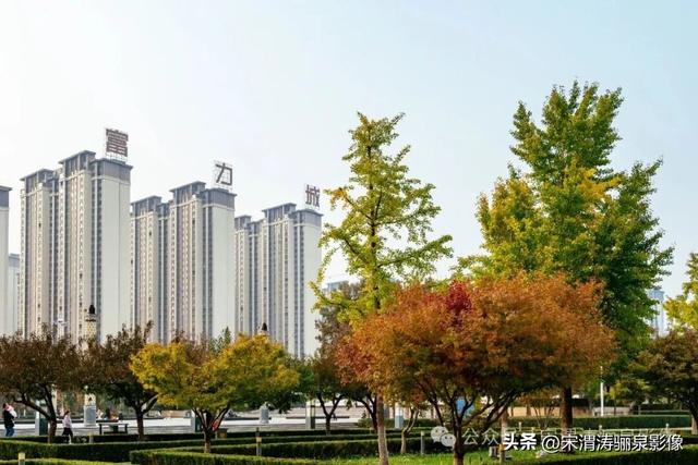 陕西渭南：天晴了 高新区时代广场秋色盎然