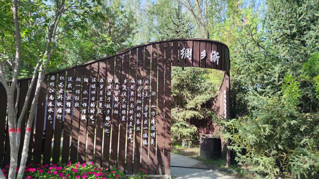 银川花博园真的好大，好大，是我见过的最大的花园