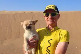 中国最神奇流浪狗，靠高情商去了英国享受美好狗生图片