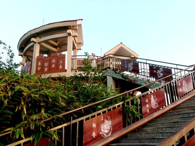 12月20日，欢乐开走！茂名徒步5条线路，你中意哪条？