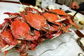 小城有味道（125）河北沧州市黄骅梭子蟹图片