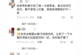 越闹越大！峨眉山猴子扑倒男孩致其坠落，景区回应，引发网友热议图片