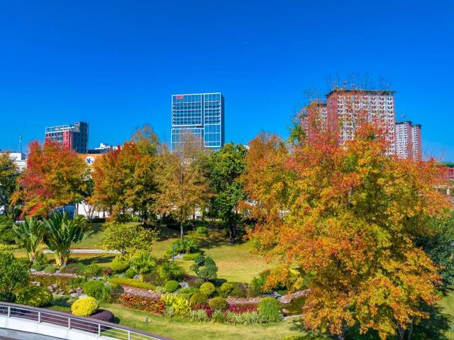 看！是金黄色的光明！