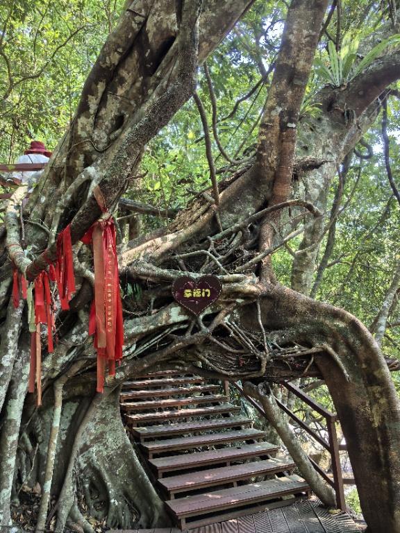 海南之行（之三）