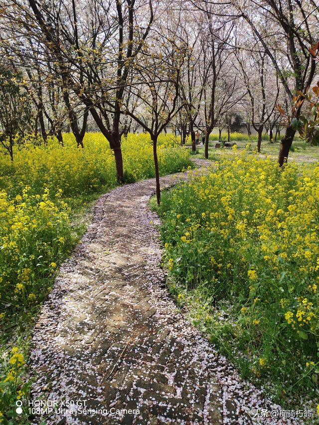 最美最妩媚，人间四月天