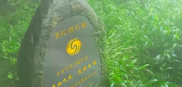 地球独子：全世界曾仅剩一株！为拯救它，我国用火箭把它送上太空