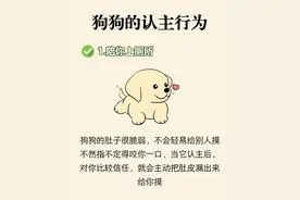 原来狗狗这样是要认主了，很多人却不知道！图片