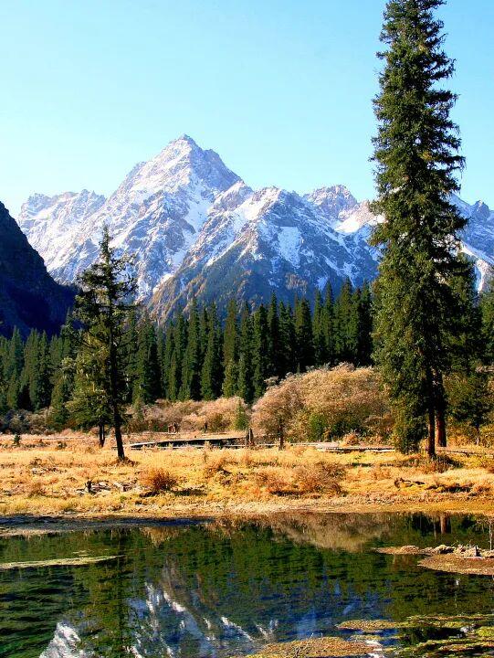 走不出这画了，我已被平武的彩林迷倒！