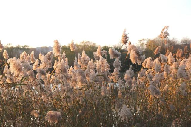 用电影的方式“打开”初冬！每一帧，都浪漫