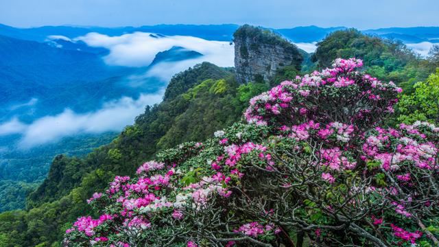 光雾山燕子岭新环线五一全线贯通 创新生态康养旅游新范式