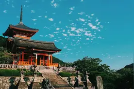 日本全面放宽中国人赴日签证：中日双向奔赴，就在下一个春天图片