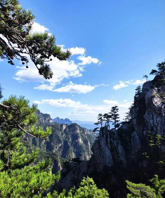 走，去河南山野里“撒个欢”！
