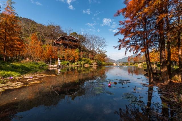 福建深秋封神路线！红叶燃山、银杏铺金，古寺藏着最暖秋韵！