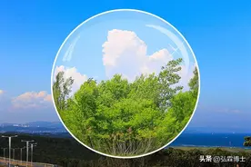 世界的本质图片