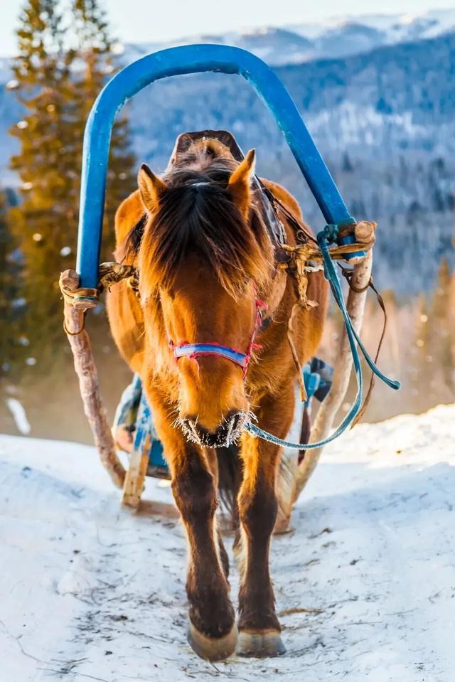 新疆的冬天更浪漫