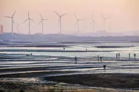 赶海有多“上头”，来营口就知道了！图片