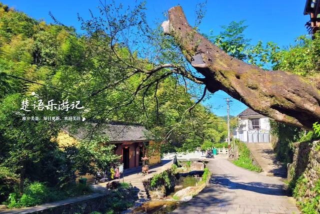 浙江宁波桥坑山麓的古村，既是文化名村又是景区村庄，景色确实美