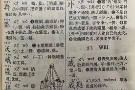 有网民起诉《新华字典》，中国出版传媒商报：混淆是非、歪曲事实图片