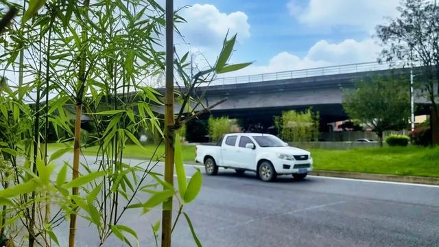 把微缩版江南园林藏进广宁街角，美就这样蹦出来~