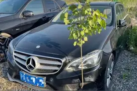 上海最神秘富二代翻车了！花5000万搞内幕交易，家世被扒…图片