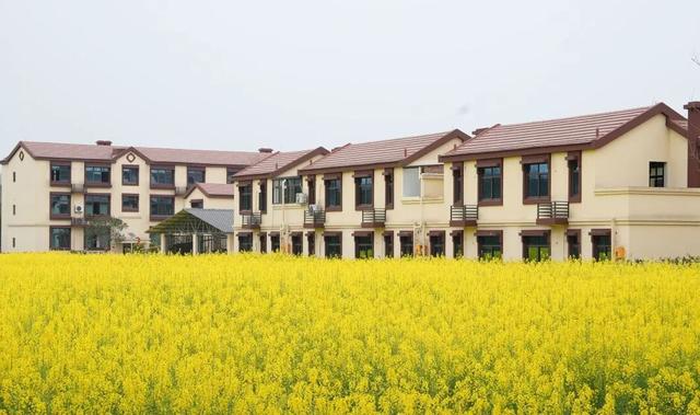 五大点位，廖家镇春日赏花地图来了！