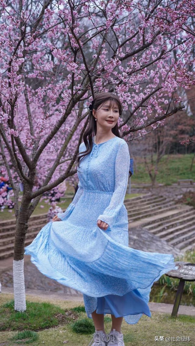 每日一景|寒意未消春意先至 南京中山植物园早樱绽放迎游人