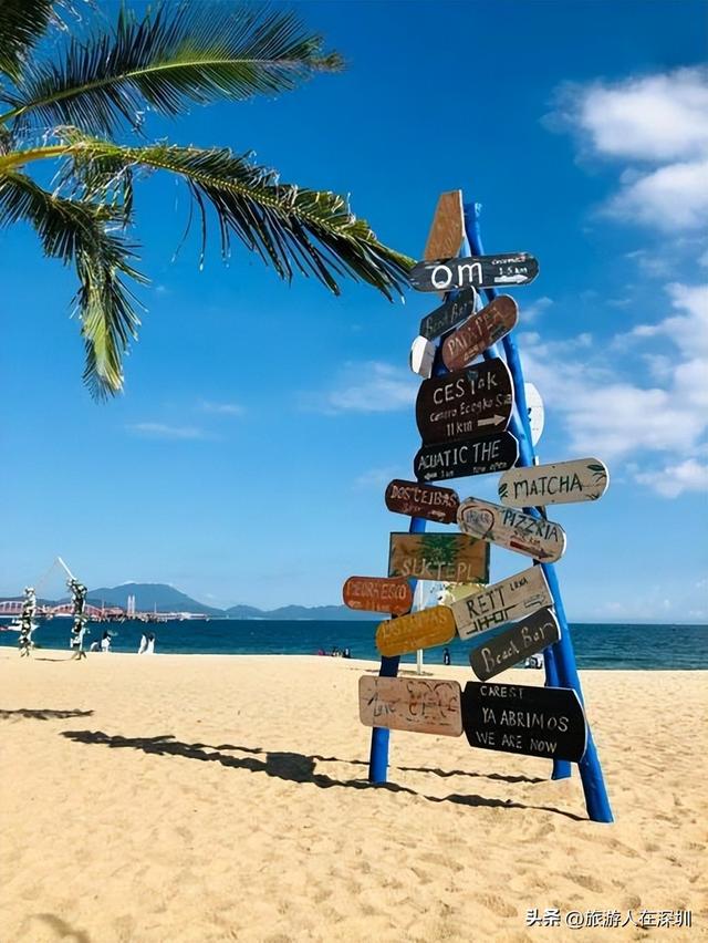 深圳玫瑰海岸游玩全攻略，情人拍照海边圣地，邂逅海滨的梦幻浪漫