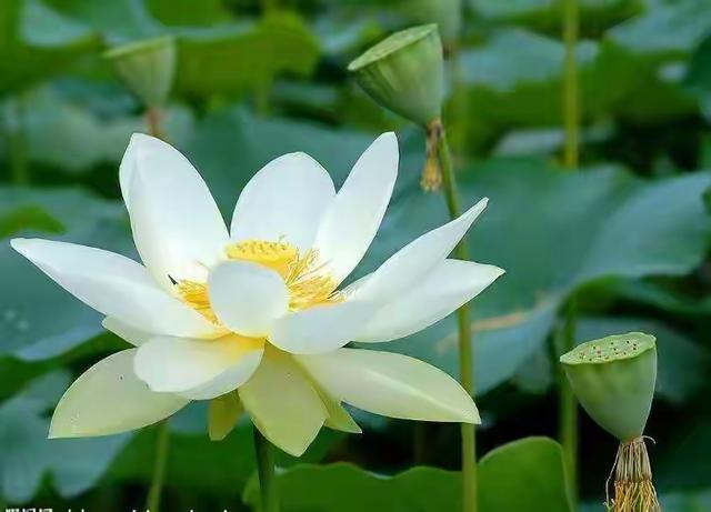 “三年之痛、七年之痒”，实际上是现代两性关系中的普遍心理现象