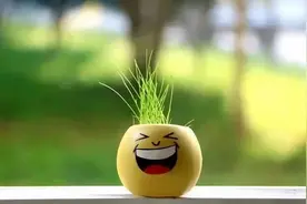 最幽默的6个笑话段子，看一次笑一次，太解压了图片