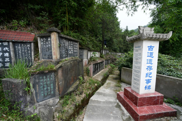 小布丁·早安丨地名里的重庆：八塘，雾漫山樱，墨韵传香