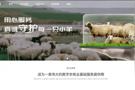 养羊理财平台众牧宝用户提现失败，资金不知去向！记者调查图片