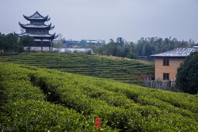 这座长江南岸的佛光之城，藏着安徽最能打的山水