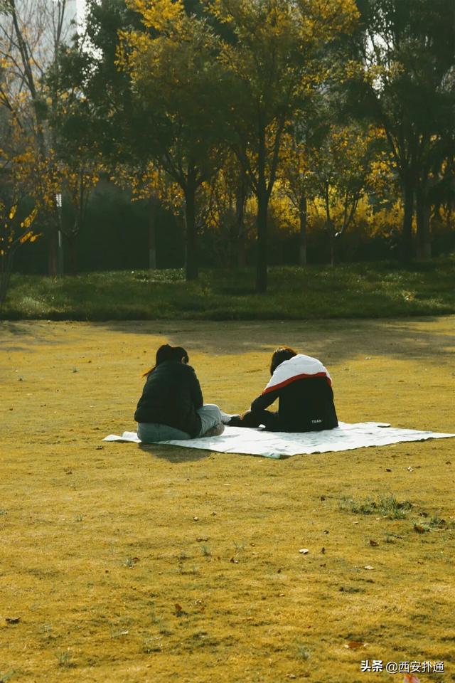 地铁直达！秋日末尾的“落叶大道”不可错过！