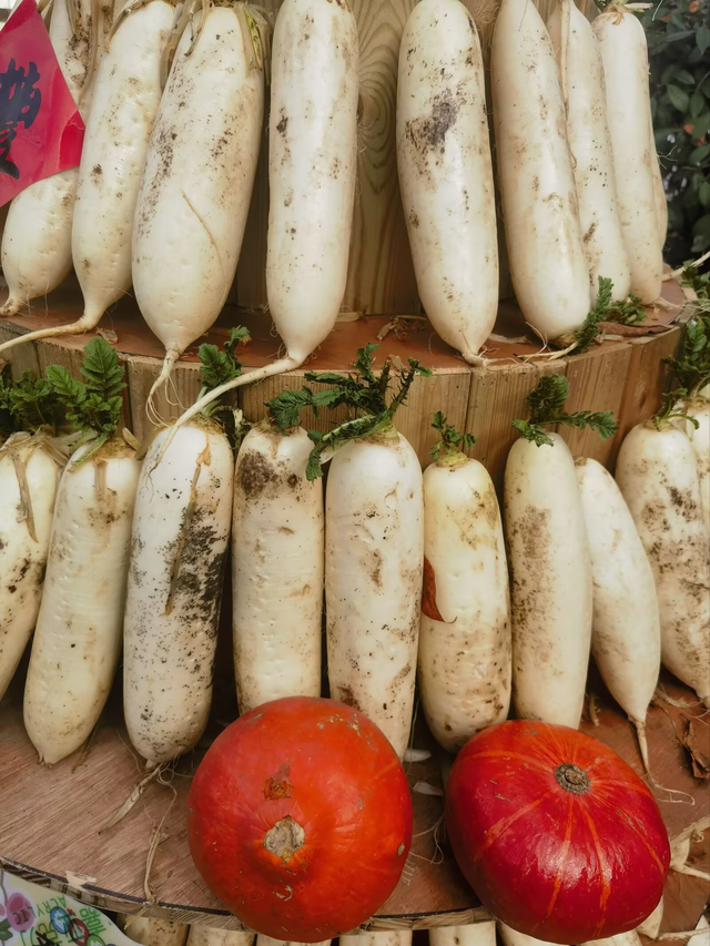 秦岭深处有人家（二）——邂逅秦岭最美廊道