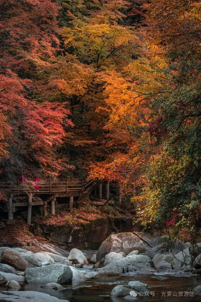 追了光雾山的红叶，这个秋天没白过！