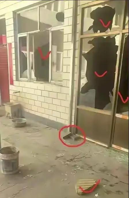 狗主赵某晖态度大转变：曾放狠话怼民警的她，终究低头了！